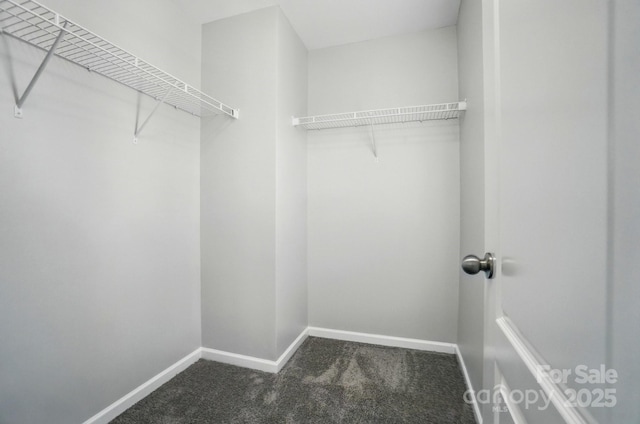 8115 Kelburn Ln, Charlotte, NC 28273 - spacious closet with carpet