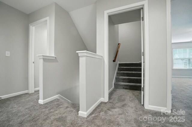 8115 Kelburn Ln, Charlotte, NC 28273 - stairway with carpet floors and vaulted ceiling