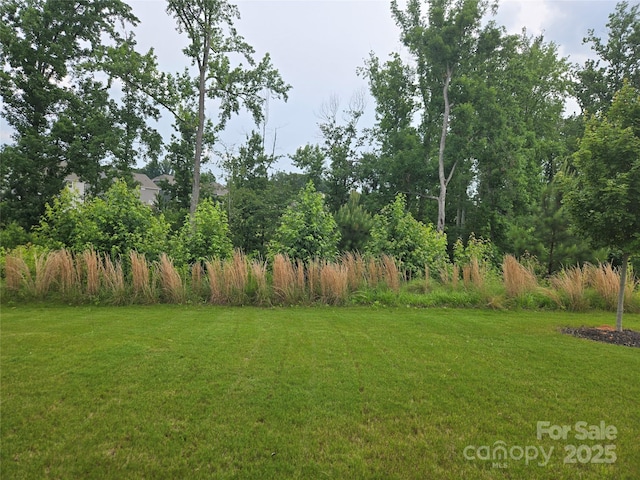 5000 Britannia Blvd, Waxhaw, NC 28173 - view of grassy yard