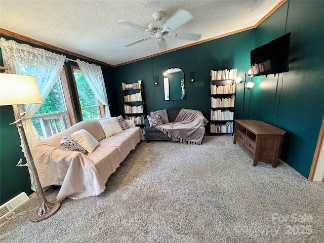 39 Hill And Dale Rd, Leicester, NC 28748 - photo 6