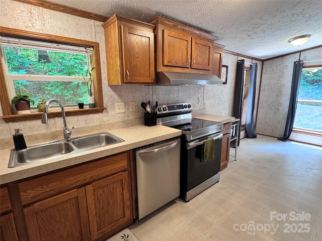 39 Hill And Dale Rd, Leicester, NC 28748 - photo 10