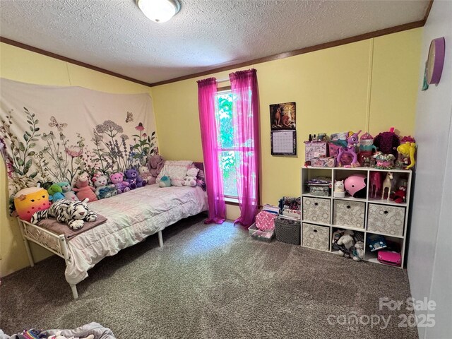 39 Hill And Dale Rd, Leicester, NC 28748 - photo 17