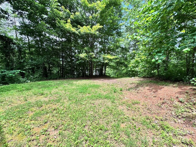 39 Hill And Dale Rd, Leicester, NC 28748 - photo 23