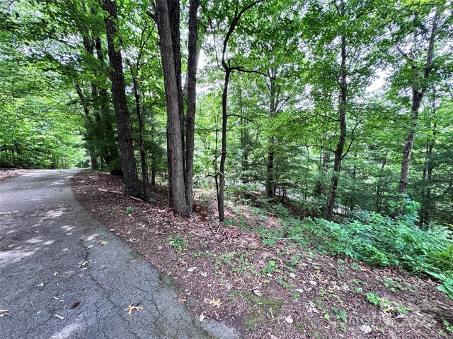 39 Hill And Dale Rd, Leicester, NC 28748 - photo 27