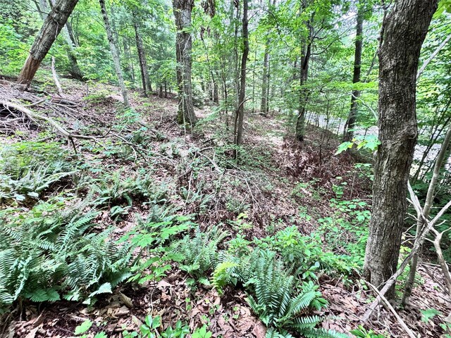 39 Hill And Dale Rd, Leicester, NC 28748 - photo 28