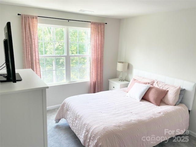 8060 Scarlet Maple Ln, Tega Cay, SC 29708 - bedroom with carpet flooring and multiple windows