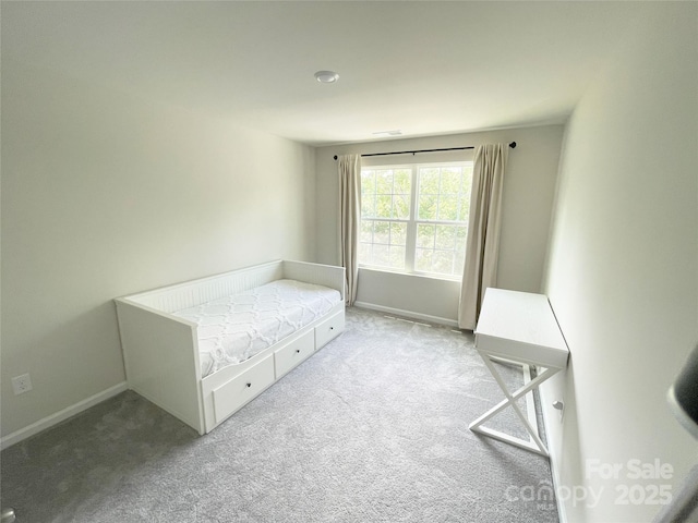 8060 Scarlet Maple Ln, Tega Cay, SC 29708 - unfurnished bedroom with carpet and baseboards