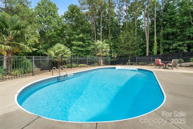 1912 Dawnhurst Ln, York, SC 29745 - view of pool with a patio and view of scattered trees