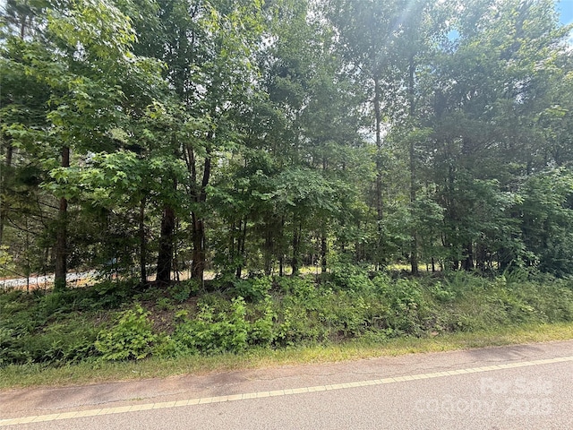 2330 Neill Rd, Lancaster, SC 29720 - view of asphalt street