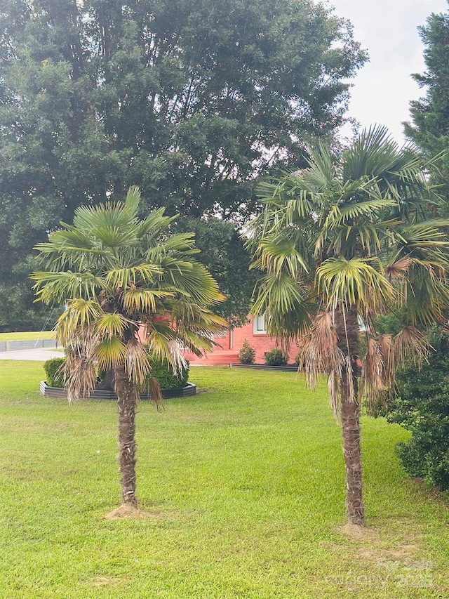 1535 Jordan St, Lancaster, SC 29720 - view of grassy yard