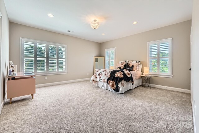 14041 Mccord Rd, Huntersville, NC 28078 - photo 33