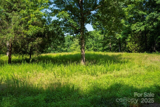LOT33 Valley Farm Rd Unit 33, Waxhaw, NC 28173 - photo 6