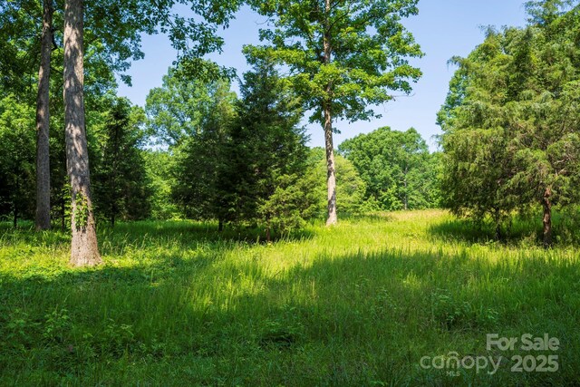 LOT33 Valley Farm Rd Unit 33, Waxhaw, NC 28173 - photo 9