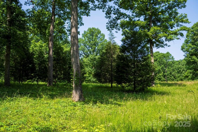 LOT33 Valley Farm Rd Unit 33, Waxhaw, NC 28173 - photo 31