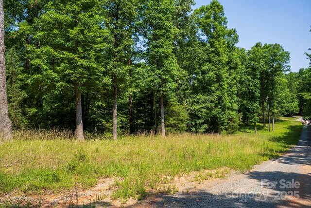 LOT33 Valley Farm Rd Unit 33, Waxhaw, NC 28173 - photo 33