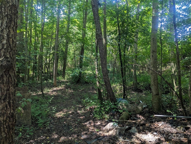 5077 Edney Ct, Granite Falls, NC 28630 - view of tree filled area