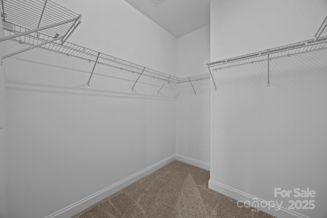 10349 Alvarado Way, Charlotte, NC 28277 - walk in closet with carpet