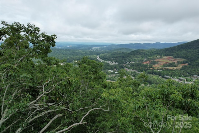 52 Castanea Mountain Dr, Asheville, NC 28803 - photo 1