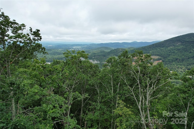 52 Castanea Mountain Dr, Asheville, NC 28803 - photo 3
