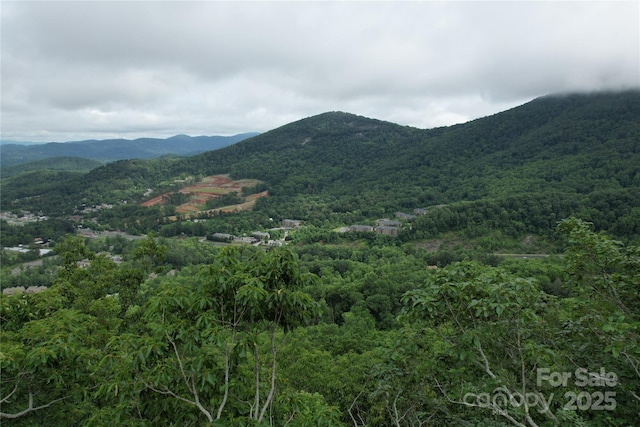 52 Castanea Mountain Dr, Asheville, NC 28803 - photo 4
