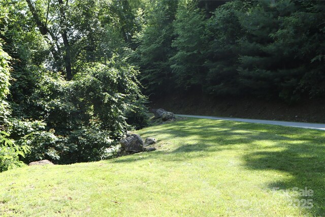 52 Castanea Mountain Dr, Asheville, NC 28803 - photo 5