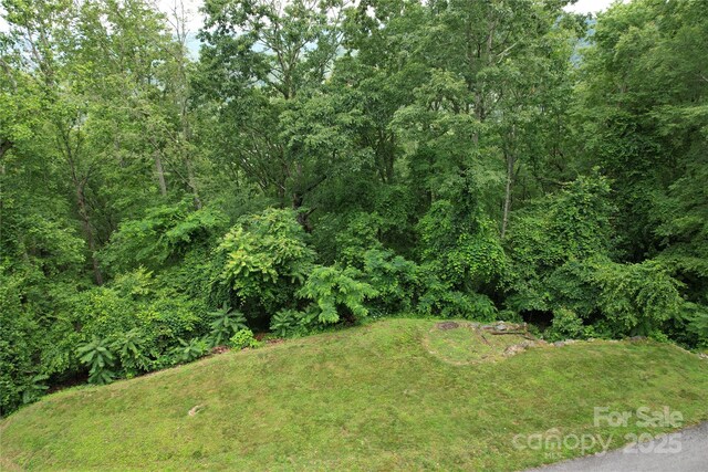 52 Castanea Mountain Dr, Asheville, NC 28803 - photo 6