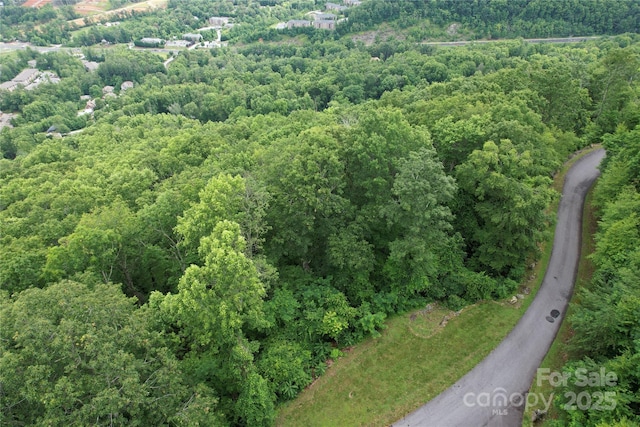 52 Castanea Mountain Dr, Asheville, NC 28803 - photo 7