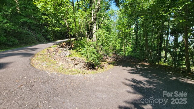 52 Castanea Mountain Dr, Asheville, NC 28803 - photo 8