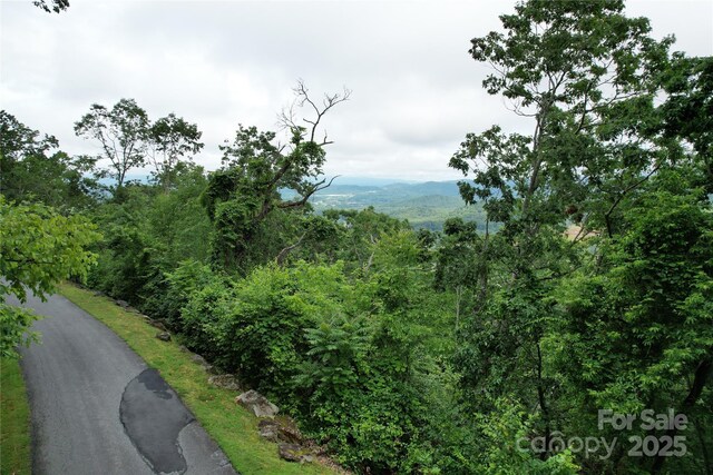 52 Castanea Mountain Dr, Asheville, NC 28803 - photo 9