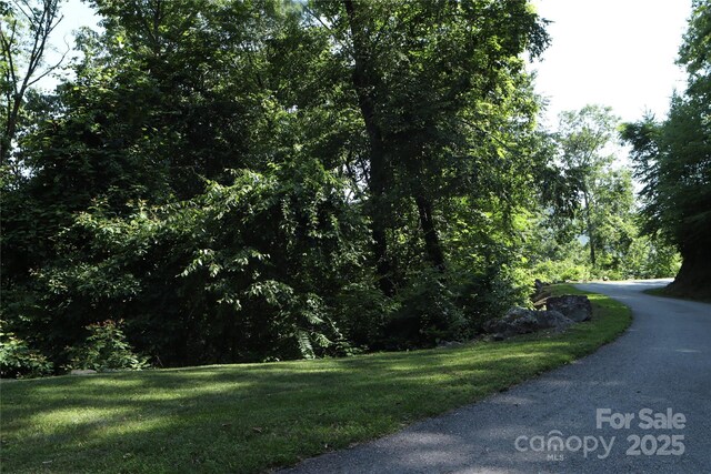 52 Castanea Mountain Dr, Asheville, NC 28803 - photo 10