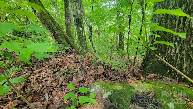 52 Castanea Mountain Dr, Asheville, NC 28803 - photo 14