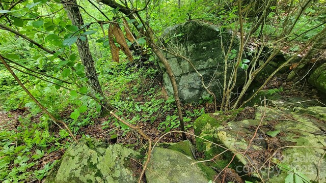 52 Castanea Mountain Dr, Asheville, NC 28803 - photo 15