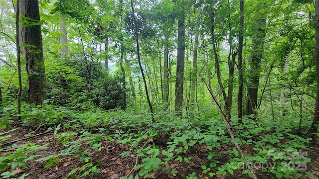 52 Castanea Mountain Dr, Asheville, NC 28803 - photo 16
