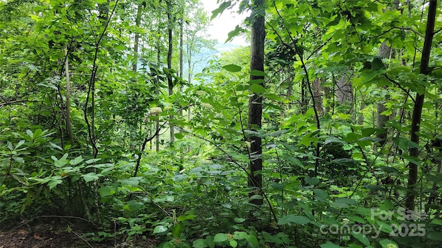 52 Castanea Mountain Dr, Asheville, NC 28803 - photo 18