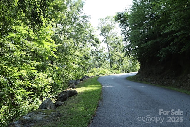 52 Castanea Mountain Dr, Asheville, NC 28803 - photo 20