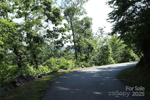 52 Castanea Mountain Dr, Asheville, NC 28803 - photo 21