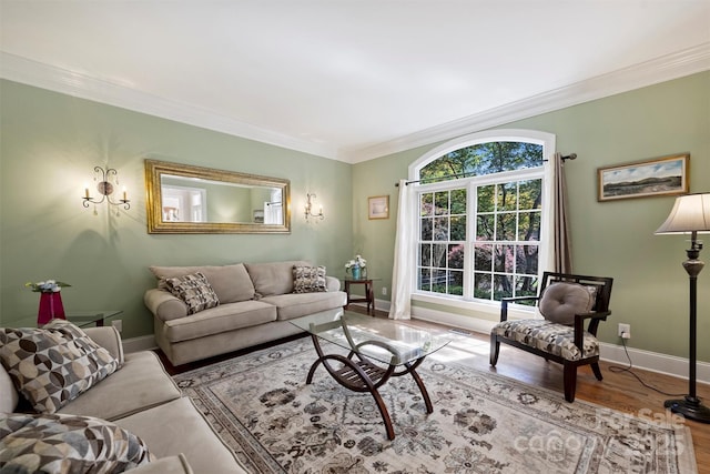 12644 Lahinch Ct, Charlotte, NC 28277 - living area with ornamental molding and wood finished floors