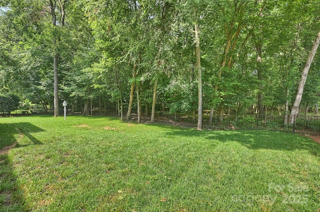 12644 Lahinch Ct, Charlotte, NC 28277 - view of yard