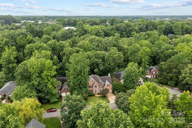 17433 Glassfield Dr, Huntersville, NC 28078 - aerial view of a forest