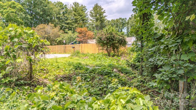 99999 Westchester Dr, Asheville, NC 28803 - photo 4