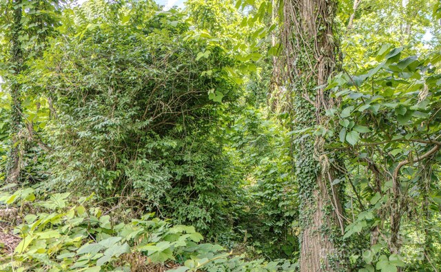 99999 Westchester Dr, Asheville, NC 28803 - photo 5