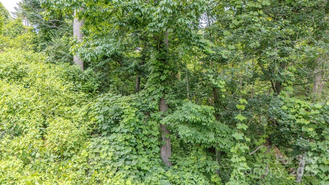 99999 Westchester Dr, Asheville, NC 28803 - photo 6
