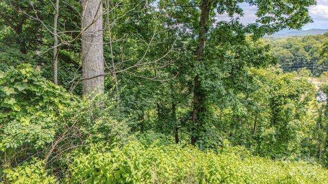 99999 Westchester Dr, Asheville, NC 28803 - photo 8
