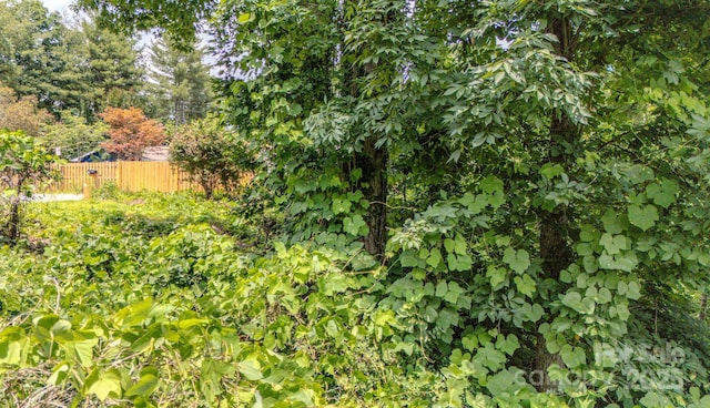 99999 Westchester Dr, Asheville, NC 28803 - photo 9