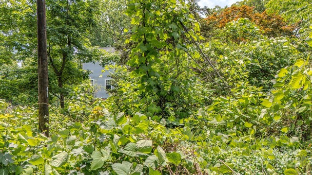 99999 Westchester Dr, Asheville, NC 28803 - photo 12