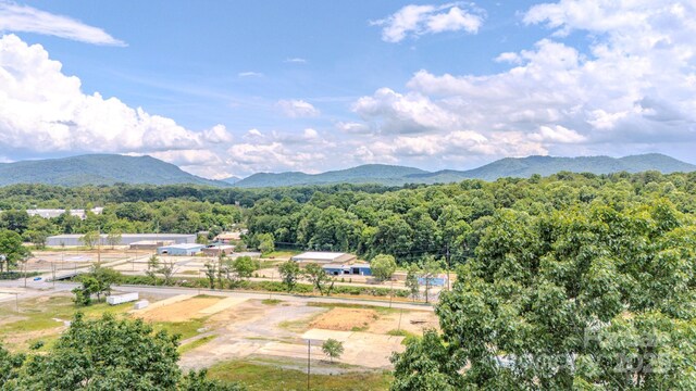 99999 Westchester Dr, Asheville, NC 28803 - photo 14