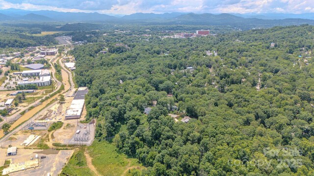 99999 Westchester Dr, Asheville, NC 28803 - photo 16