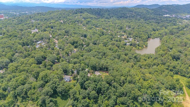 99999 Westchester Dr, Asheville, NC 28803 - photo 17