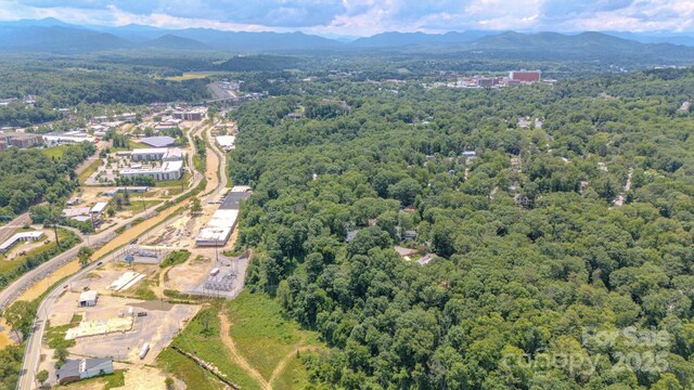 99999 Westchester Dr, Asheville, NC 28803 - photo 18