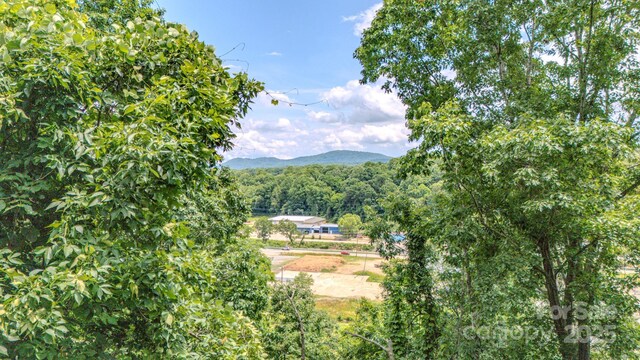 99999 Westchester Dr, Asheville, NC 28803 - photo 19
